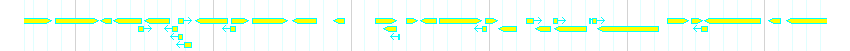 Genes detail