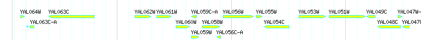 Genes detail