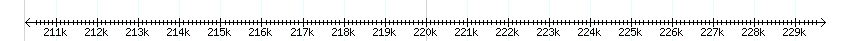 __scale__ detail
