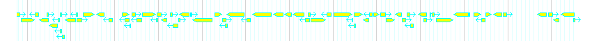Genes detail