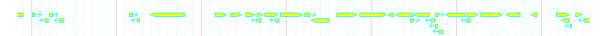 Genes detail