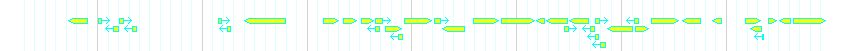 Genes detail