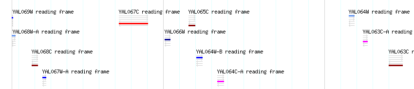 CDS detail