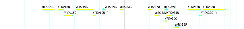 Genes detail