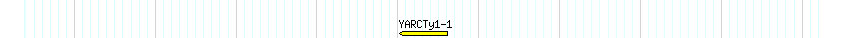 Transp detail