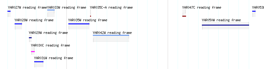 CDS detail