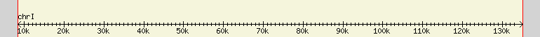 __scale__ region