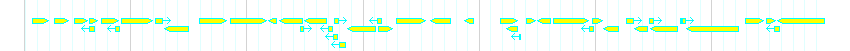 Genes detail