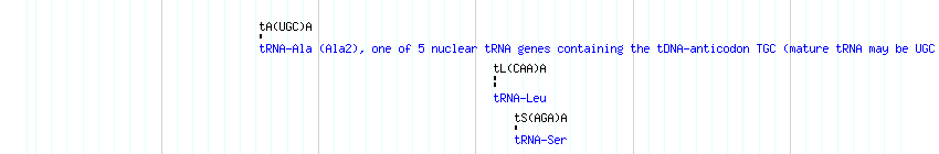 tRNAs detail