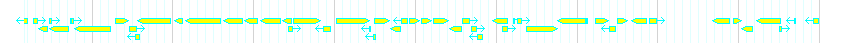 Genes detail