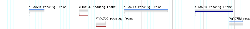 CDS detail