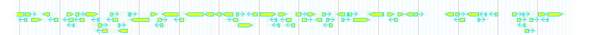 Genes detail