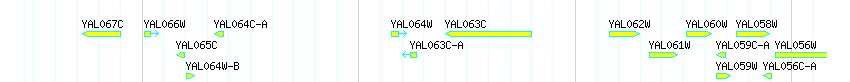 Genes detail