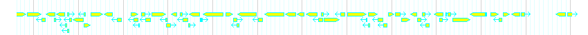 Genes detail