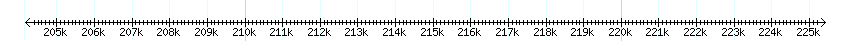 __scale__ detail