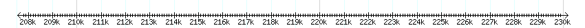 __scale__ detail