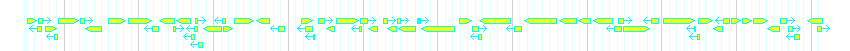 Genes detail