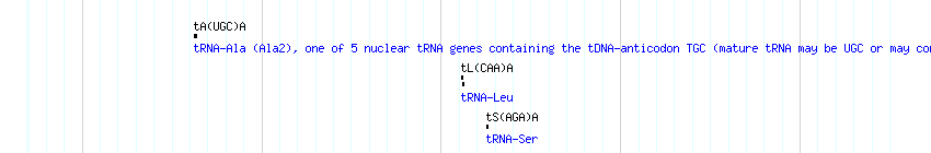 tRNAs detail