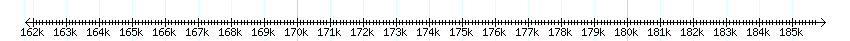 __scale__ detail