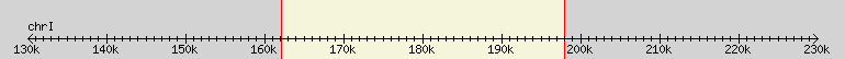 __scale__ region