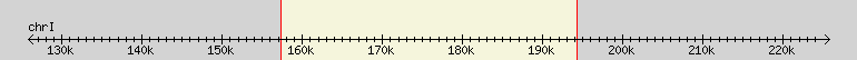 __scale__ region