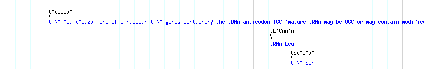 tRNAs detail