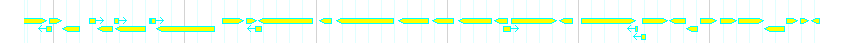 Genes detail