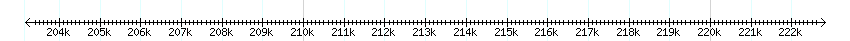 __scale__ detail