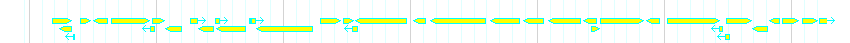 Genes detail