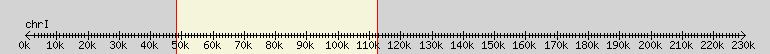 __scale__ overview