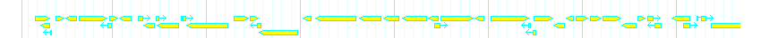 Genes detail