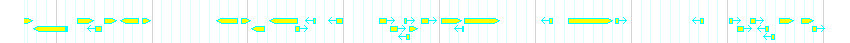 Genes detail