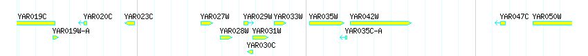 Genes detail