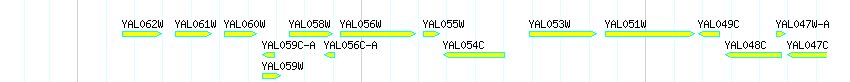 Genes detail