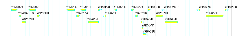 Genes detail