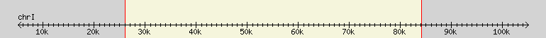__scale__ region