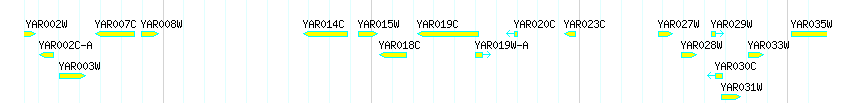 Genes detail