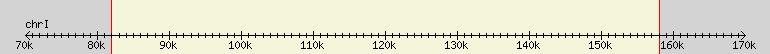 __scale__ region