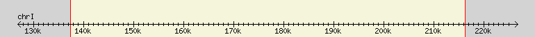 __scale__ region