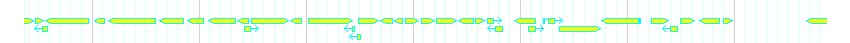 Genes detail