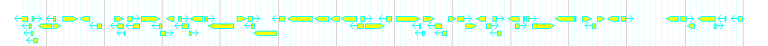 Genes detail