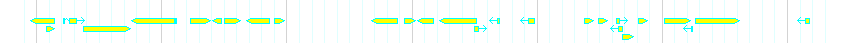 Genes detail
