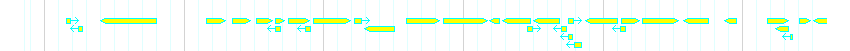 Genes detail