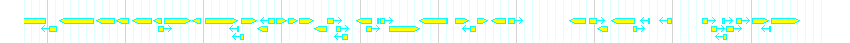 Genes detail