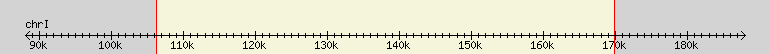__scale__ region