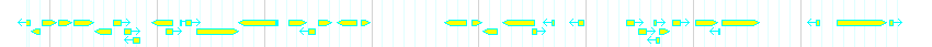 Genes detail