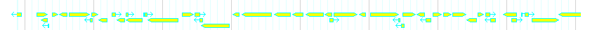 Genes detail