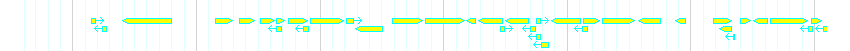 Genes detail