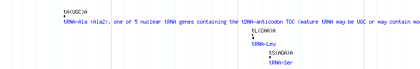 tRNAs detail