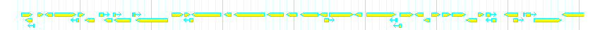 Genes detail